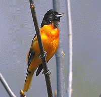 ....and some don't. ....and some don't.